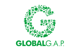 Global GAP